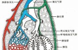《过度呼吸》完整版在线观看，中文字幕高清播放，让你尽享精彩影片内容！