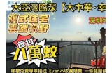 东华君君海角社区：幸福生活与和谐邻里共融的理想家园