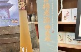 海角社区志愿者活动计划与任务分配方案