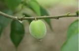 探索海角社区的独特魅力与文化特色，体验不一样的生活方式与人情味