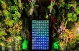 海角社区：探索邻里联结与社区发展的新模式