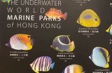 探索蓝色海角社区：海洋与生活的完美融合之地