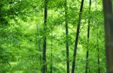海角社区的管理小区及其相关信息揭秘