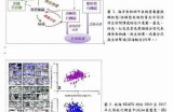 海角社区近期病毒传播情况调查及居民防护建议
