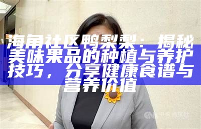 海角社区的回家之路：温暖与归属的探索之旅