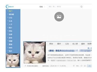 “海角社区官网：探索我们的社区服务与活动信息”