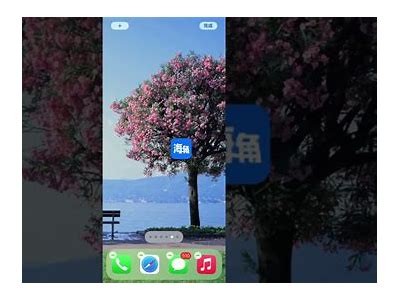 海角社区应用软件功能全解析：便捷生活从这里开始
