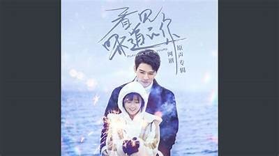 《浪漫星空：全集免费播放，体验爱的奇妙旅程》
