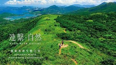 海角社区：探索多样化的生活方式与互动体验