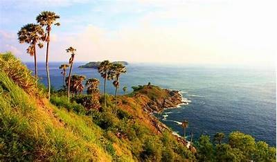 海角社区网络交流平台：为您提供温馨互动与信息分享的空间