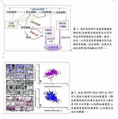 海角社区近期病毒传播情况调查及居民防护建议