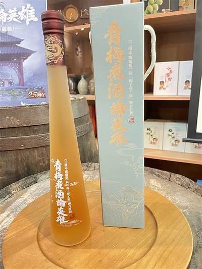 海角乡村同类社区探索与发展研究报告