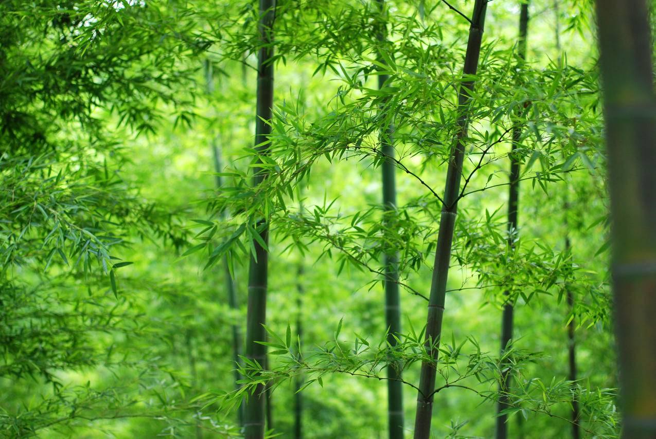 海角社区的管理小区及其相关信息揭秘