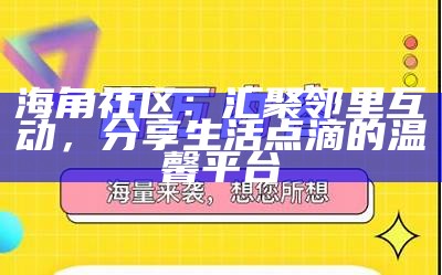 海角社区的四大核心功能模块探索与分析