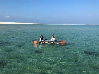 海角社区探索之旅：记录我们的足迹与成长