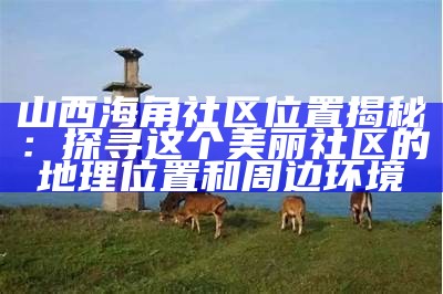 小草海角社区无法登录的原因分析与解决方案探讨
